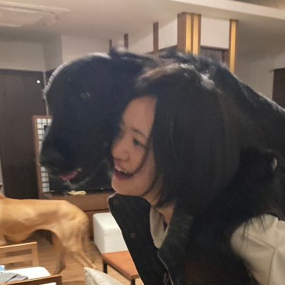 2025年11月の葛飾区議会議員選挙に出てみようと思っているとかなんとか
0からの挑戦/政治の話をもっとカジュアルに/犬狂い
YouTube→https://t.co/N0stqaBudO
