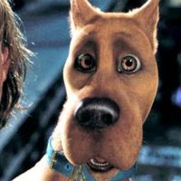 TeamScooby (@teamscoobymc) 's Twitter Profile