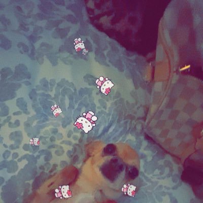 funbunnyyy1111's profile picture. mixed Latina