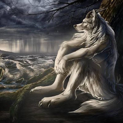 amessiaffair's profile picture. Sabr 🔁 Shukr