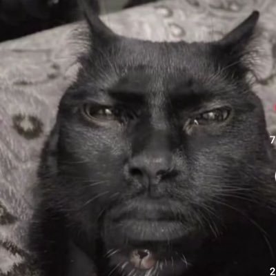 5stxr_goof's profile picture. 