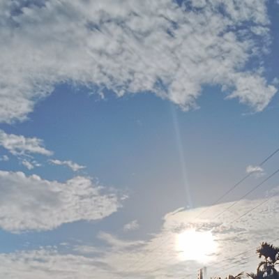 nattaphum637353's profile picture. 