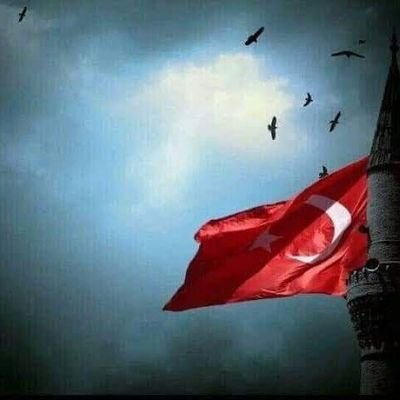 yahyasvs's profile picture. 