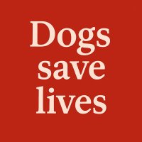 Dogs (@dogs_) 's Twitter Profile Photo Dogs (@dogs_) 's Twitter Profile Photo