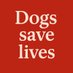Dogs (@dogs_) Twitter profile photo Dogs (@dogs_) Twitter profile photo