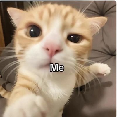 ♂️🇹🇭 หวัดดีคับทุกคนเราชื่อ โมสุ(มอส) / ISFJ-T / Introvert / มีแฟนแล้ว / Bisexual / ทักมาเป็นเพื่อนกันได้นะคับไม่กัด:3