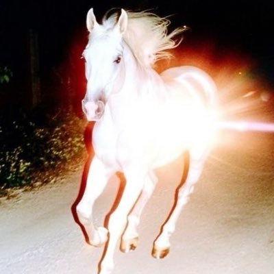 groganpp's profile picture. grogan