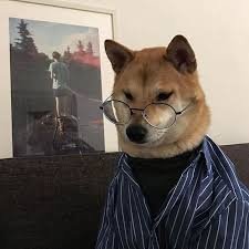 virgin_diva's profile picture. W życiu jak w Excelu – czasem coś się nie sumuje.