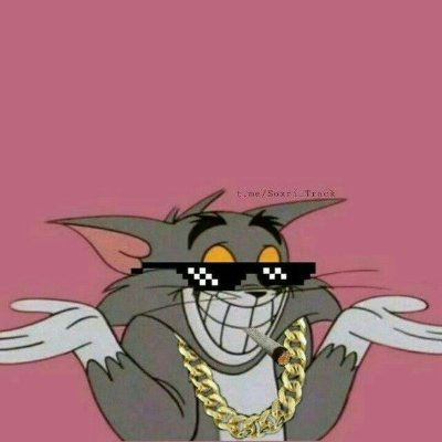 LouJomalica's profile picture. Buduję imperium z przerwami na melo.