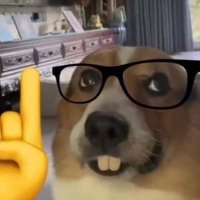 L (@badgejik) 's Twitter Profile