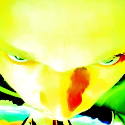 Dusterさんのプロフィール画像