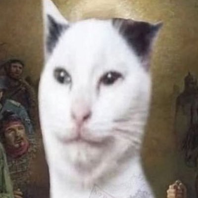 whatthescallion's profile picture. i moved !!