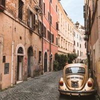 mamut1821 (@mamut182112798) Twitter profile photo