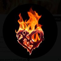 ProtectXLOV (@protectxlov) 's Twitter Profile