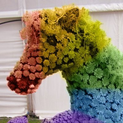 postcactus 🚢🌵🏳️‍🌈さんのプロフィール画像
