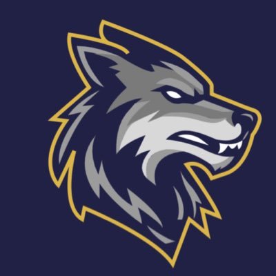 LE LADY LOBO HOOPS🏀 Profile