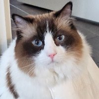 Guyan Liu | Paimon Finance (@gl2361) 's Twitter Profile