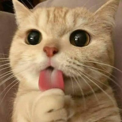 benyeketh's profile picture. Benyek.base.eth