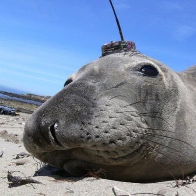 flubywubster's profile picture. 