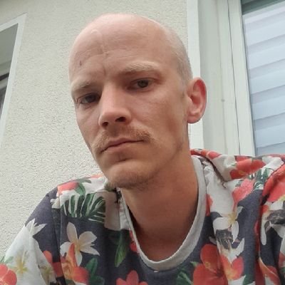 TFKingHaribo's profile picture. 