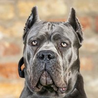 Jack Rene (@renejack86430) 's Twitter Profile