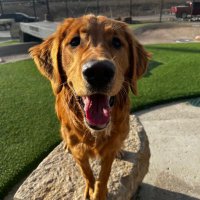 Ali (@alibrems) 's Twitter Profile