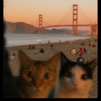 Mohamed06310171's profile picture.