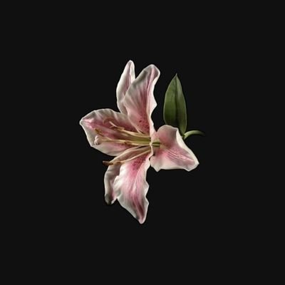 Yamile_08_'s profile picture. 