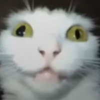 s e v (@oneosev) 's Twitter Profile