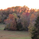 Melissa Strack - @tnmomm - Twitter