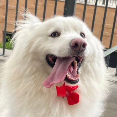 Nasumakiさんのプロフィール画像
