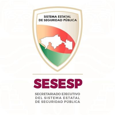 Coordinar las instituciones de Seguridad Pública para el funcionamiento, coadyuvando con sistemas de planeación estratégica, evaluación y transparencia