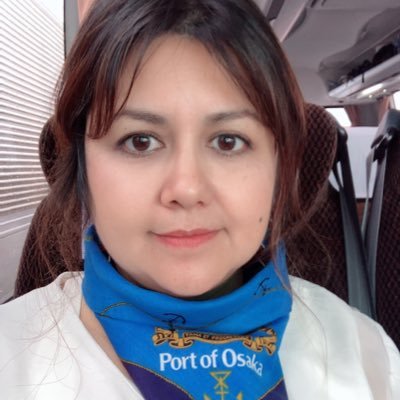日系4世ペルー生まれ千葉育ち日本国籍。日⇔西・葡語通・翻訳者(経験15年以上)。産業・法律・医療・映像。観光 TOEIC785。沖縄5年。今東京。JICA研修監理員。JTF、JACI。ハングル読める。ATOK、NHK 漢字表記辞書使用。祖母子家庭 https://t.co/imu0D9vbW0