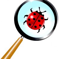 The Lazy Naturalist 🐛🦋🐢🦌🐿️🐾🌱🥀❄️🌦️ (@lazynaturalist2) 's Twitter Profile