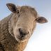 Land Lore (@landloreproject) Twitter profile photo Land Lore (@landloreproject) Twitter profile photo