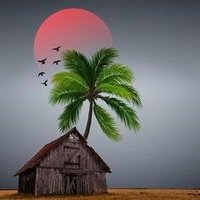 love beautiful flower (@umarawan48211) 's Twitter Profile