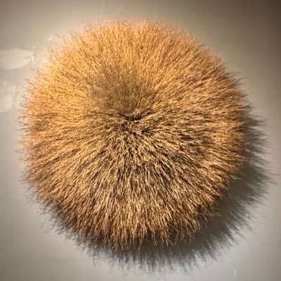 RockT84118's profile picture. $SATL #Satellogic 50,000 ⬆️ share holder