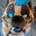 russ ๐ Megaplex (@russkcat) Twitter profile photo russ ๐ Megaplex (@russkcat) Twitter profile photo