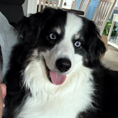 darthfather506's profile picture. 