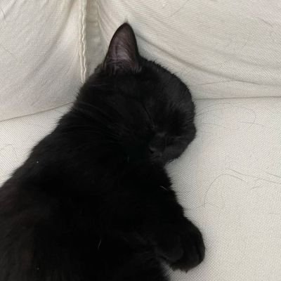 pacarsabo's profile picture. apa lu