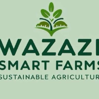 wazazismartfarm's profile picture. Wazazi Smart Farms is a mixed farm practicing sustainable farming. We deal coffee, seedlings, fruits like strawberries, vegetables, poultry and fish farming.