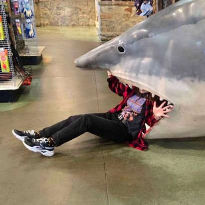 msrydivision's profile picture. pl/eng