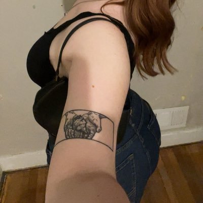 🐞🕷️