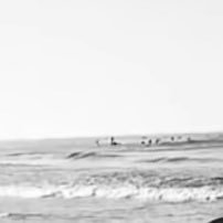 elian1g's profile picture. 