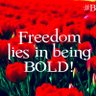 BoldResister's profile picture. A beautiful day begins with a beautiful mindset!🪷 Start unknown & finish UNforgettable 🎬! Truth + Persistence= Justice⚖️ I didn’t vote for  a convicted felon!