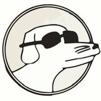 #1 Hot Rod (2007) fan (@sober_to_dog) 's Twitter Profile