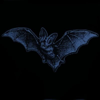 SANGUlNUMM's profile picture. ⠀⠀⠀⠀⠀⠀⠀⠀⠀⠀⠀⠀⠀⠀⠀⠀⠀⠀⠀⠀⠀⠀⠀⠀⠀⠀⠀⠀⠀⠀⠀⠀⠀⠀⠀⠀⠀⠀⠀.