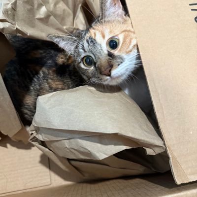 JamesPrive82250's profile picture. 