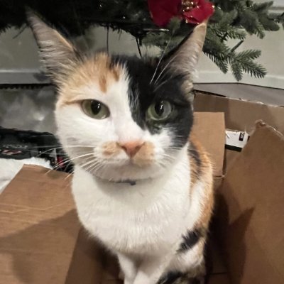 cornisland09's profile picture. Those: