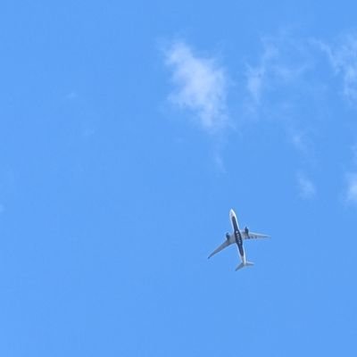 akipiii0706's profile picture. 